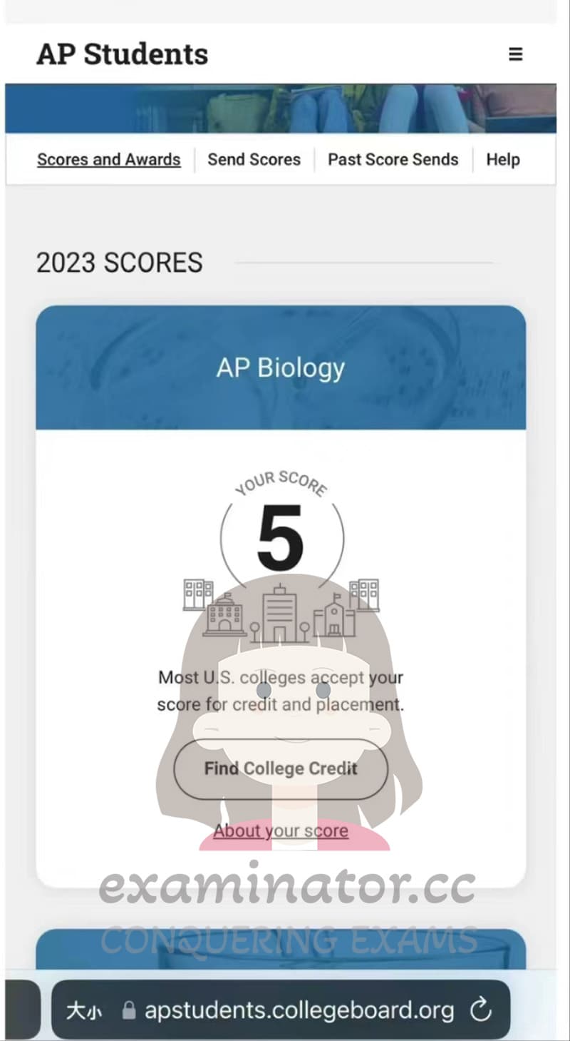 score image for Advanced Placement 부정행위 success story #631